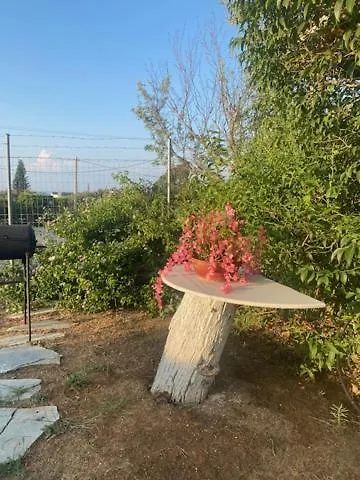 Vakantiehuis Cottage Villa *